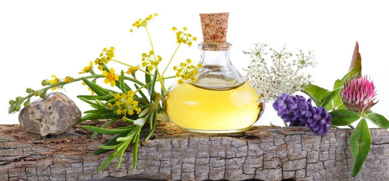 Naturkosmetik und Pflegeprodukte in Bio-Qualität Naturkosmetik und Pflegeprodukte in Bio-Qualität