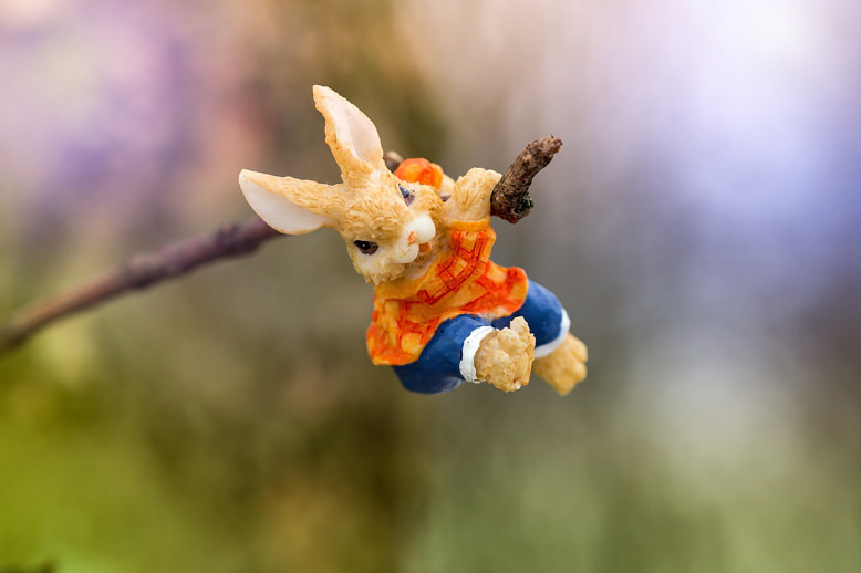 Er darf nicht fehlen – Der Osterhase Osterhase