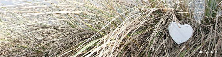 PureNature Natur PureNature Gutschein