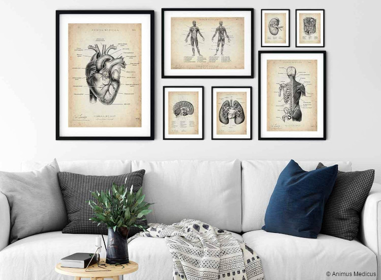 Mit unseren Gutscheinen kannst du die Kunstwerke von Animus Medicus preiswerter bestellen Animus Medicus Kunstwerke preiswerter bestellen