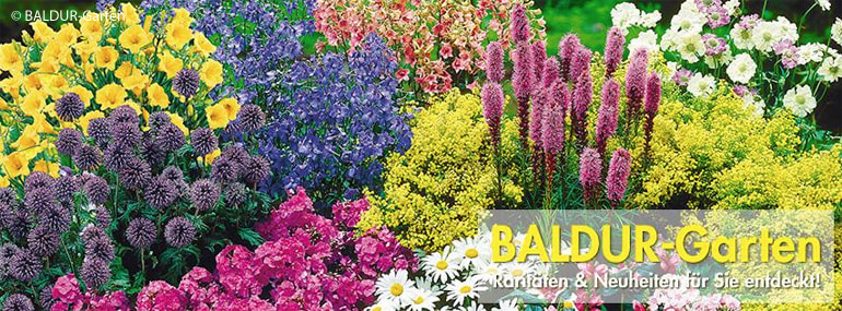 Baldur Garten Gutschein 30 4 Einlosbar Im Marz 2020