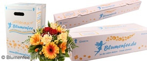 Die Frischebox für optimalen Versand Blumenfee Frischebox