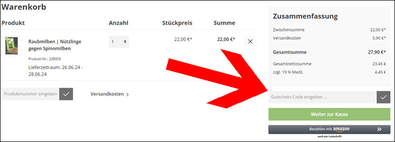 Den Futura-Shop.de Gutschein im Warenkorb einlösen Den Futura Shop Gutschein im Warenkorb einlösen