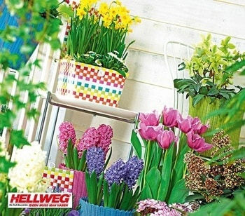 Gestalten Sie Ihren Garten! Hellweg Gutscheincode