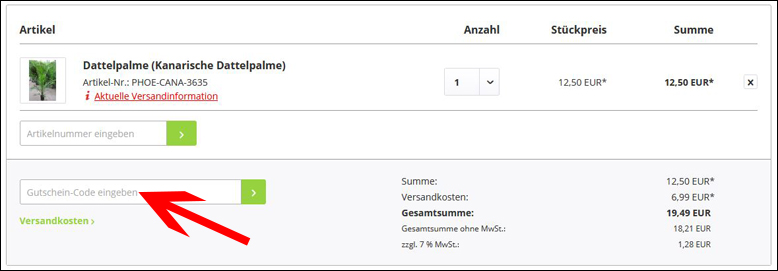 Code hier eingeben Palmenmann Gutschein im Warenkorb einlösen