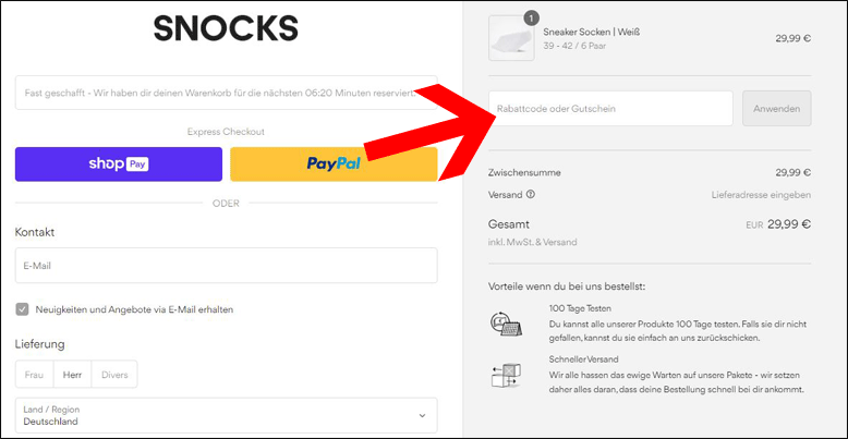 Den SNOCKS Gutschein einlösen Den SNOCKS Rabattcode an der Kasse anwenden