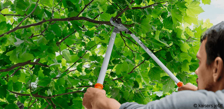 Stihl Produkte günstiger mit einem Gutschein bestellen Stihl Heckenschere bei kaisers.jetzt