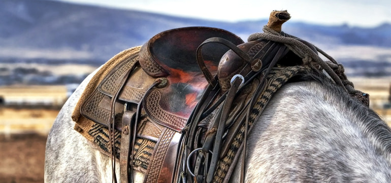 Western Style Gutscheincode World of Western