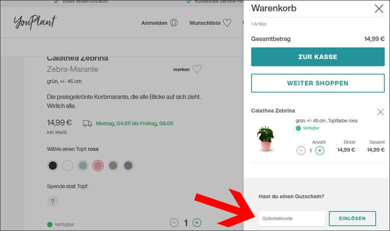 Füge den Gutscheincode in dieses Feld ein Ein YouPlant Gutschein wird in der Bestellübersicht angewendet