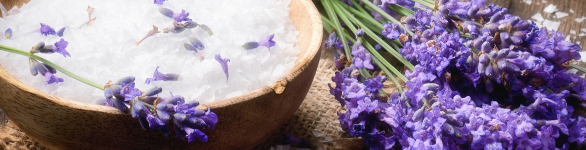 Bio-Siegel: Naturkosmetik Bio-Siegel: Naturkosmetik