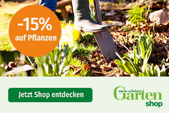Wundertax Gutschein 15 Gutscheincode April 2025
