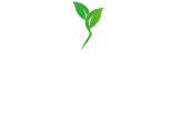 Think Green